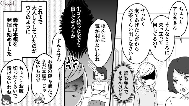 「お腹切ったぐらいで怠けるな！」産後直後、大掃除させた義母に復讐した話