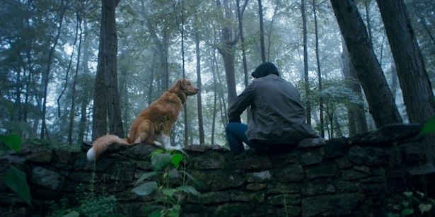 【写真】飼い主のトッド(シェーン・ジェンセン)とレトリバー犬のインディ (C)2025 Whats Wrong With Your Dog, LLC. All Rights Reserved.