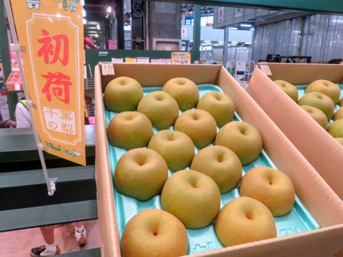 初競りの千葉県産梨「幸水」
