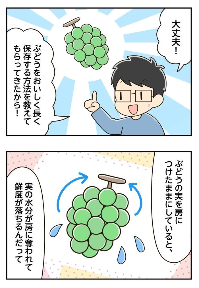 『ぶどう』そのまま保存するの待って！ちょっとしたコツで長持ちするんです♪最後までおいしく食べる方法とは