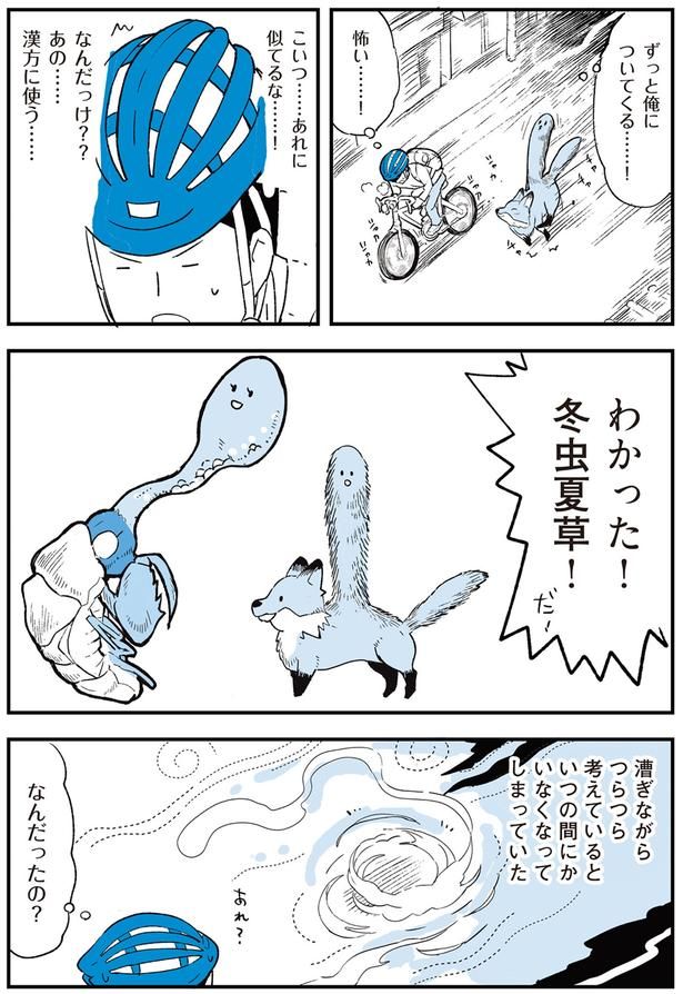 わかった！冬虫夏草！ （C）みつつぐ／KADOKAWA