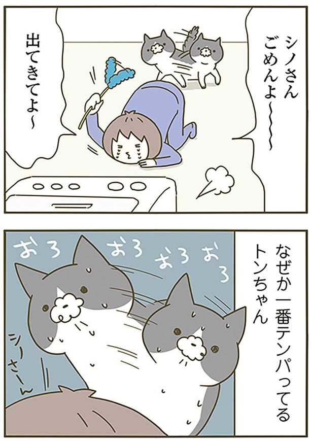 ごめんよ～～～ （C）卵山玉子／KADOKAWA