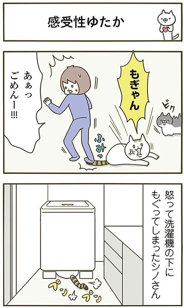 感受性ゆたか （C）卵山玉子／KADOKAWA