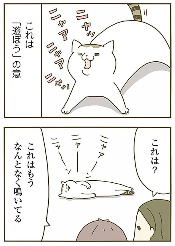 これは？ （C）卵山玉子／KADOKAWA