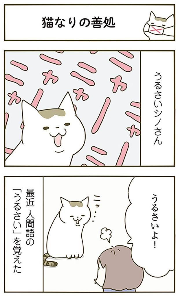 猫なりの善処 （C）卵山玉子／KADOKAWA