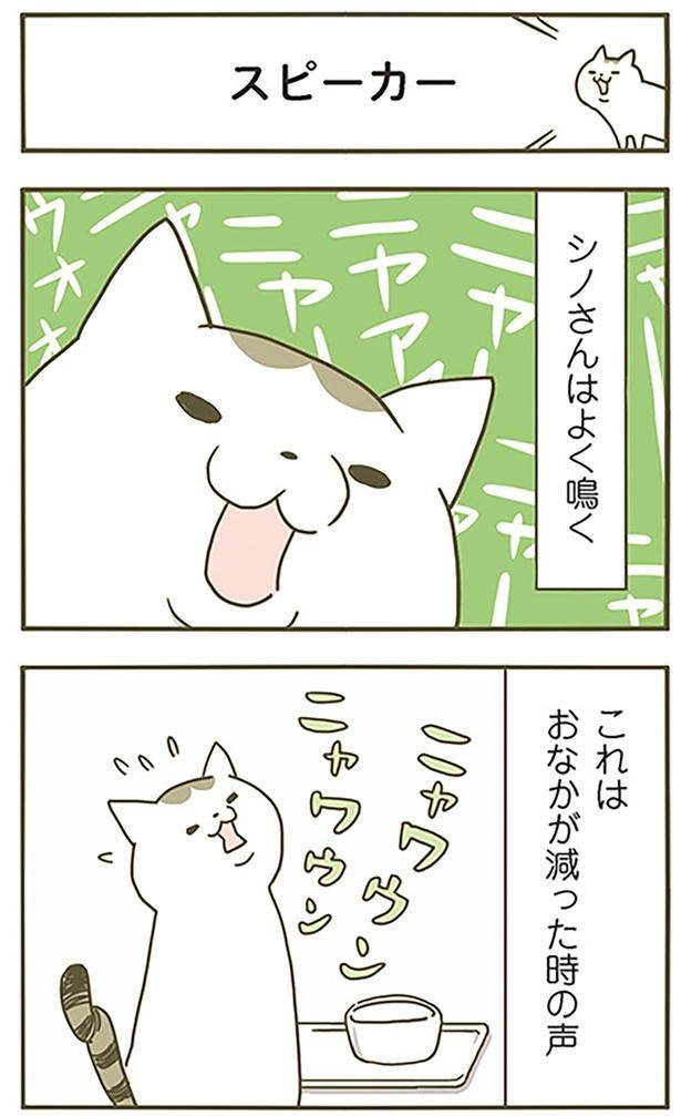 スピーカー （C）卵山玉子／KADOKAWA