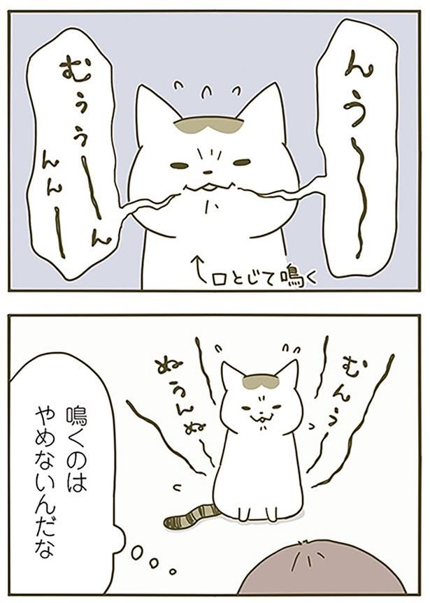 鳴くのはやめないんだな （C）卵山玉子／KADOKAWA