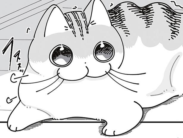 目が爛々 （C）キュルZ／KADOKAWA