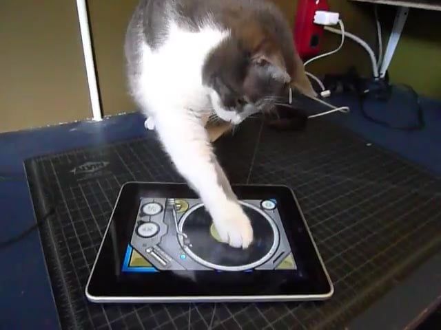 iPadのアプリでレコードをスクラッチ！