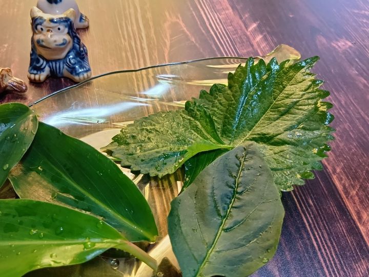 プリンケースが大変身?！家にあるもので紫蘇を美味しく保存するアイデア