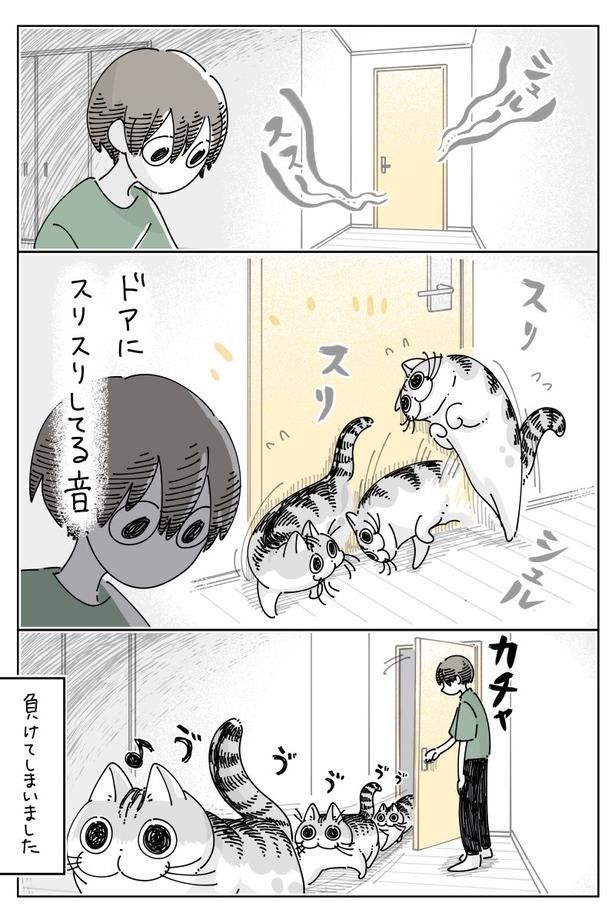 03 画像提供：キュルZ@kyuryuZ