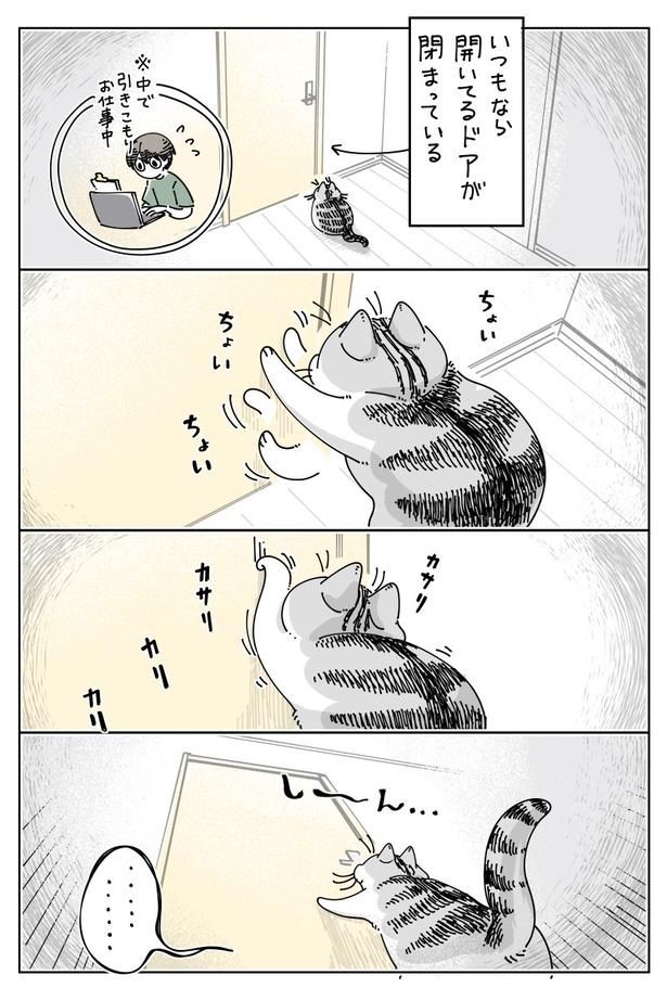 『ドア開けて』01 画像提供：キュルZ@kyuryuZ