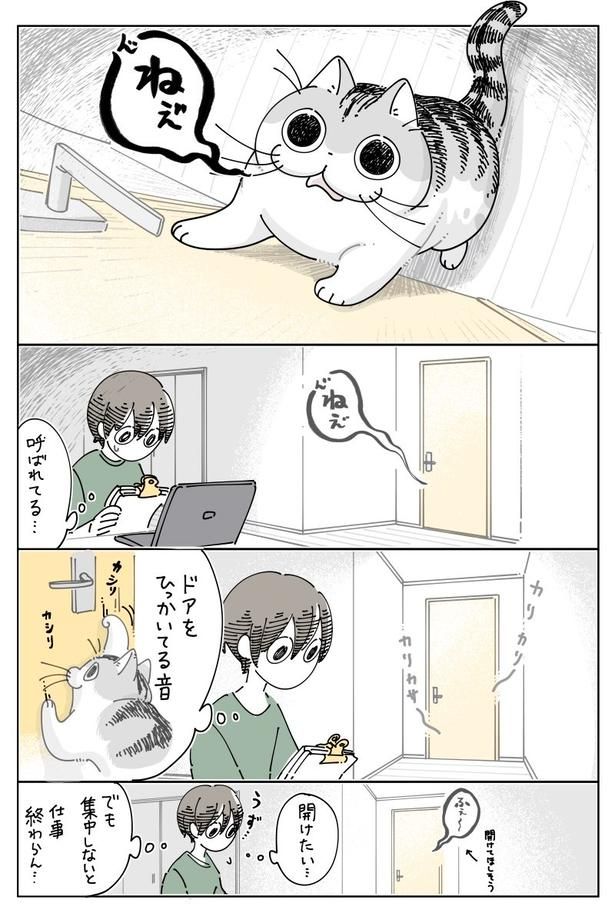 02 画像提供：キュルZ@kyuryuZ