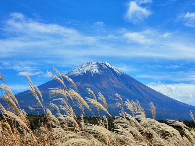 朝霧高原の富士山とすすきの景色