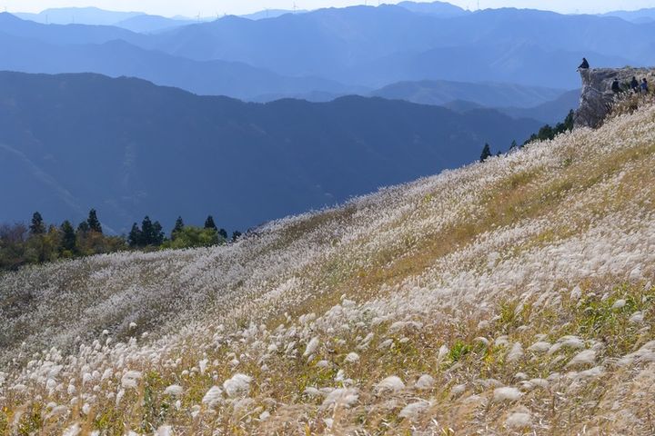 生石高原の秋 すすきと絶景