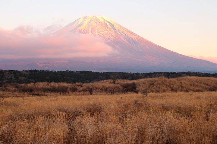 朝霧高原と富士山とすすき 赤い日光