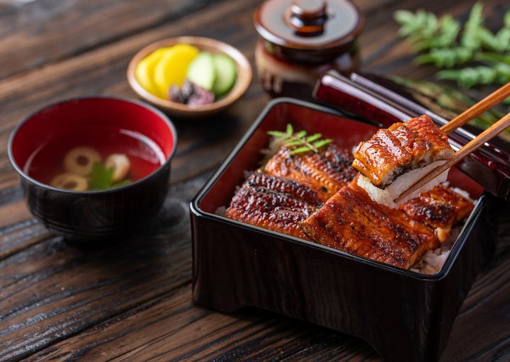 養殖ウナギのオスとメスの違いは？（画像はイメージ）