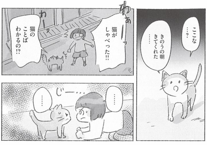 失われたもの、在り続けるもの。それぞれの思いが交錯するとき。漫画『るすばん猫きなこ』