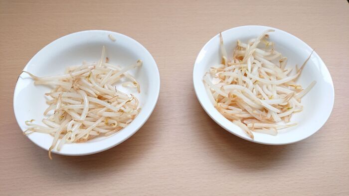 庶民の味方「もやし」の保存法、一番いいのはコレ！【比べてみた】
