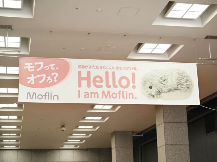 「あまりにもかわいすぎる…！」カシオのAIペットロボット『Moflin（モフリン）』に新色が登場！新宿高島屋ポップアップ体験会をレポート