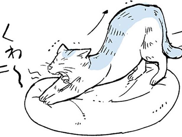 猫の行動 （C）みつつぐ／KADOKAWA