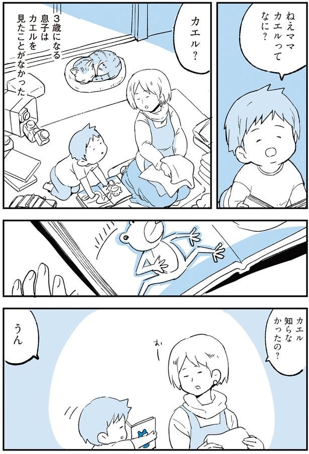 カエル？ （C）みつつぐ／KADOKAWA