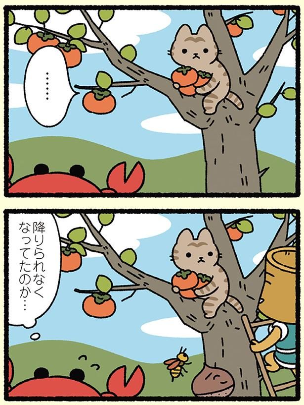 降りられなくなってただけ （C）ぱんだにあ／KADOKAWA