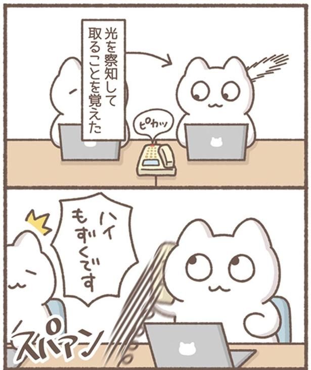 ピカッ （C）もずく／KADOKAWA