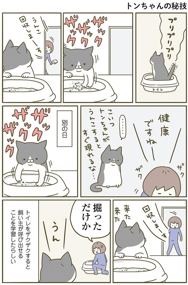 トンちゃんの秘技 （C）卵山玉子／KADOKAWA