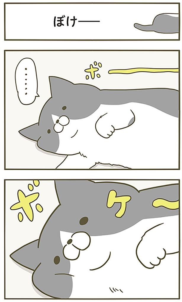 ぼけー （C）卵山玉子／KADOKAWA