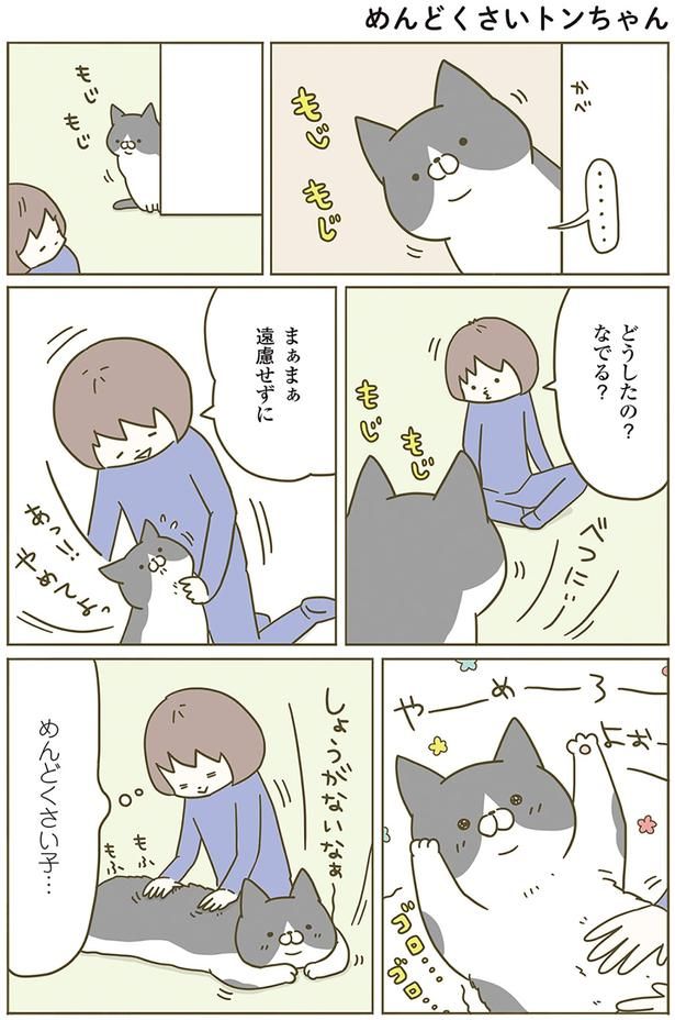 めんどくさいトンちゃん （C）卵山玉子／KADOKAWA