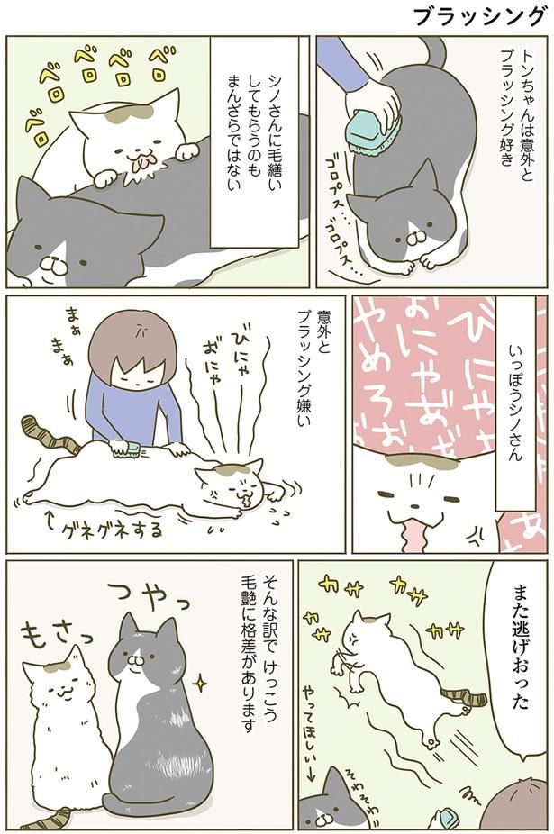 また逃げおった （C）卵山玉子／KADOKAWA