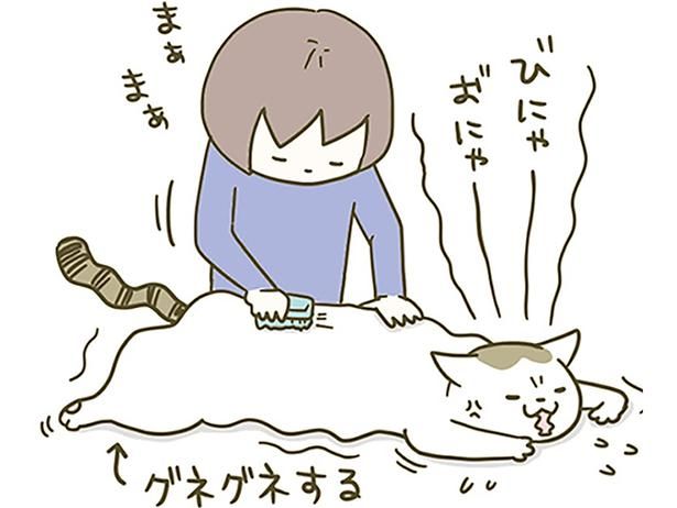 ブラッシング （C）卵山玉子／KADOKAWA