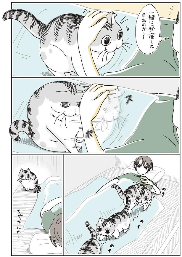 ちがったんか… （C）キュルZ／KADOKAWA
