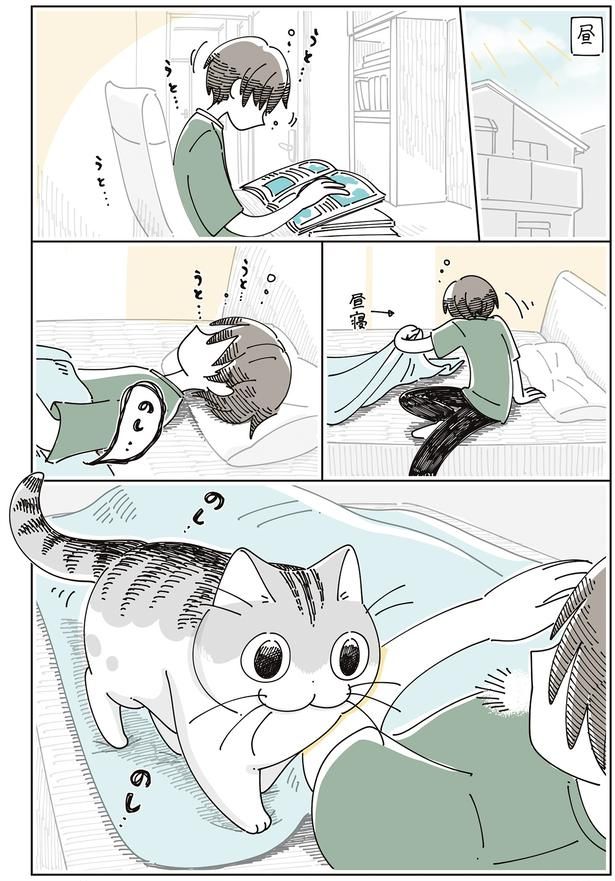 うとうとしていると （C）キュルZ／KADOKAWA