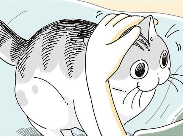 ネコの目的は （C）キュルZ／KADOKAWA