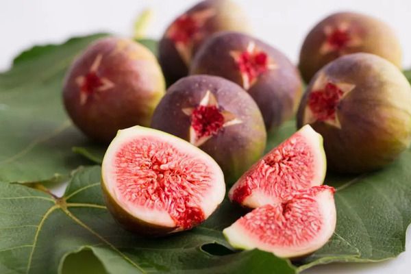 島根県産の2つのプレミアム果実、ぶどう「神紅」＆いちじく「蓬莱柿」発売！