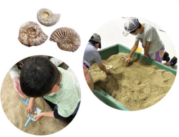 【茨城県水戸市】本物の海のいきものたちを観察＆触れ合える「サマーアクアリウム遊べるふしぎな水族園 in 京成百貨店」開催