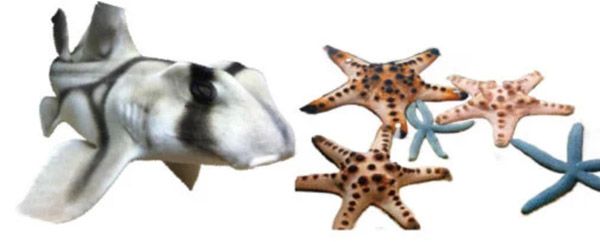 【茨城県水戸市】本物の海のいきものたちを観察＆触れ合える「サマーアクアリウム遊べるふしぎな水族園 in 京成百貨店」開催