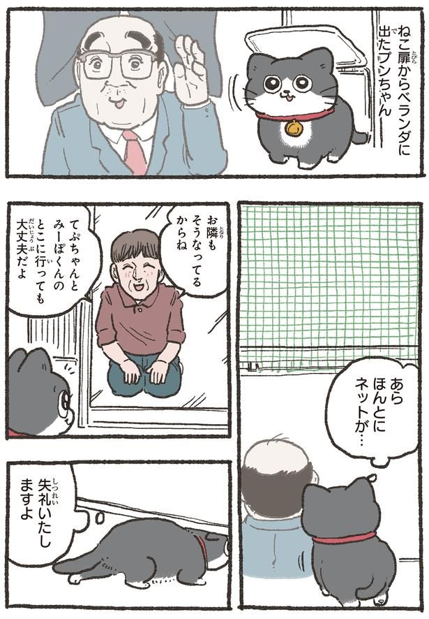 ねこ扉からベランダに （C）やじま／KADOKAWA