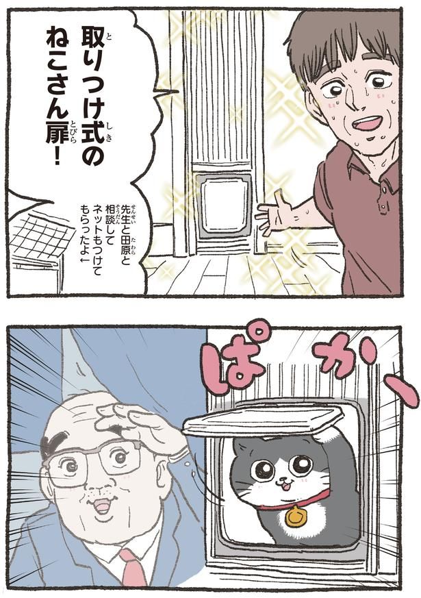ねこさん扉！ （C）やじま／KADOKAWA