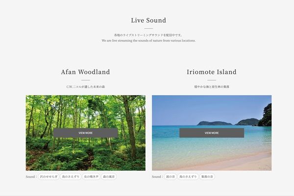 世界5か国の“波音”をフィールドレコーディングしたアナログレコード『Nami』発売