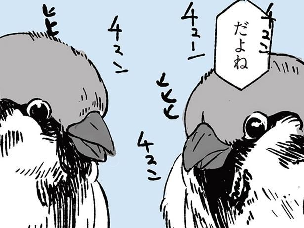 スズメの会話 （C）みつつぐ／KADOKAWA