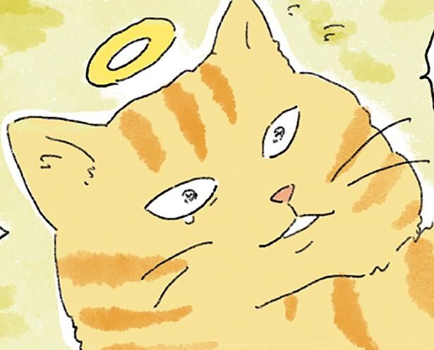 帰ったぞ （C）中山有香里／KADOKAWA