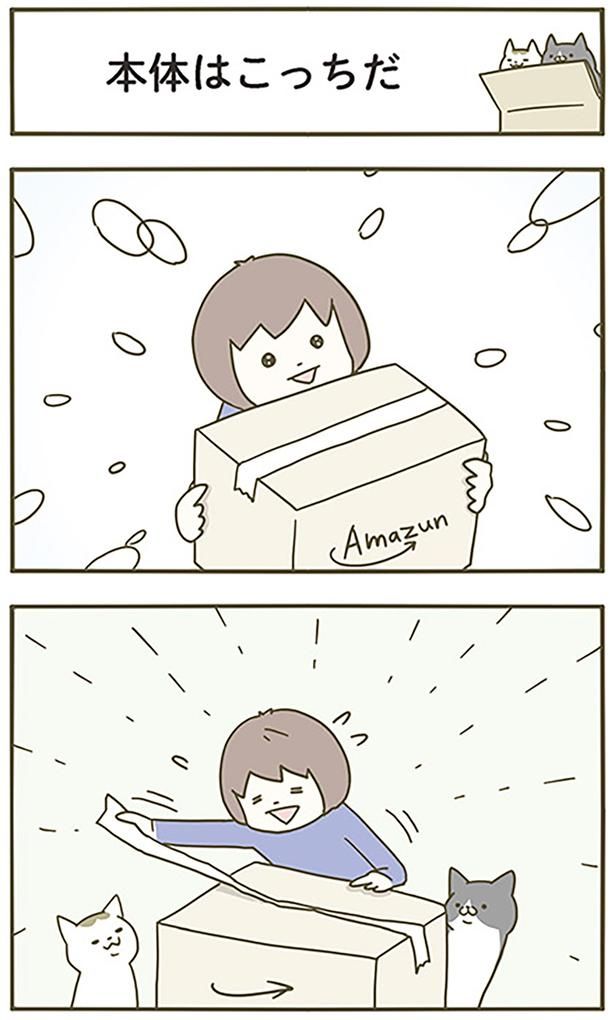 本体はこっちだ （C）卵山玉子／KADOKAWA