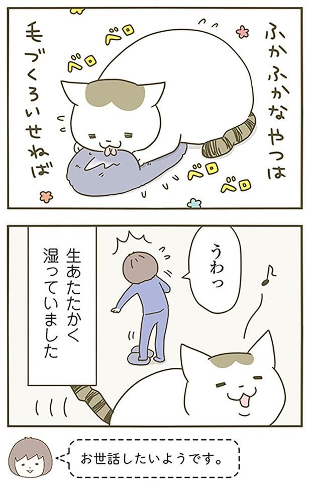 湿っていました （C）卵山玉子／KADOKAWA