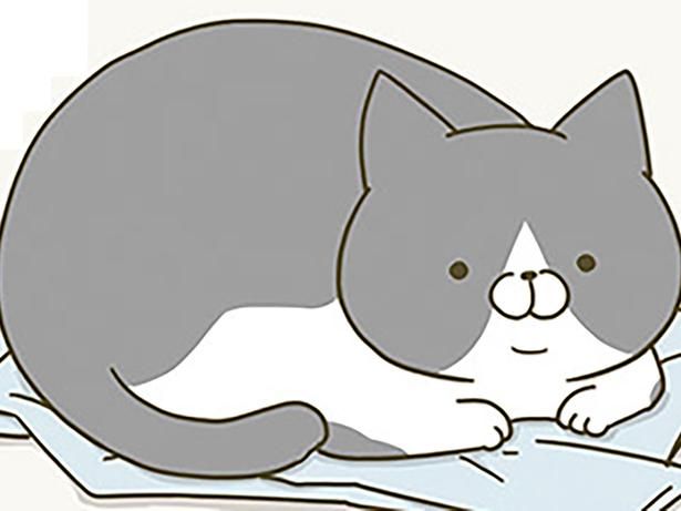 服の上に猫が！ （C）卵山玉子／KADOKAWA