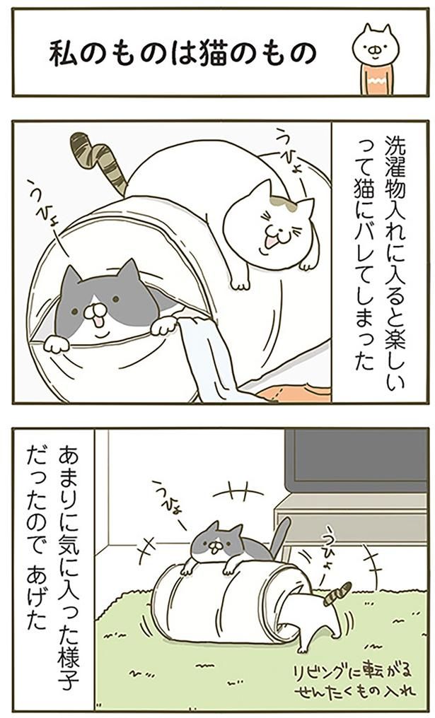 私のものは猫のもの （C）卵山玉子／KADOKAWA