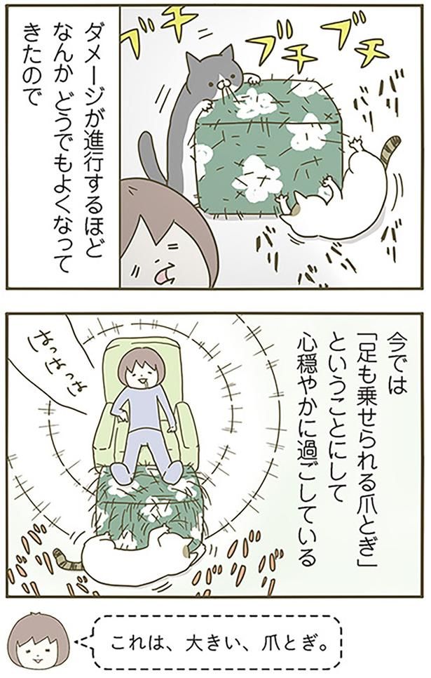 これは、大きい、爪とぎ （C）卵山玉子／KADOKAWA
