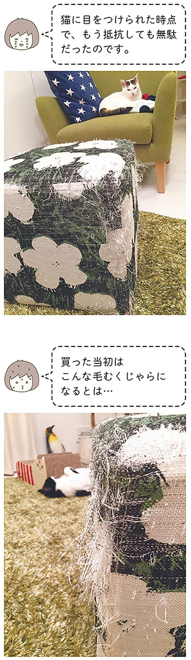 買った当初は （C）卵山玉子／KADOKAWA